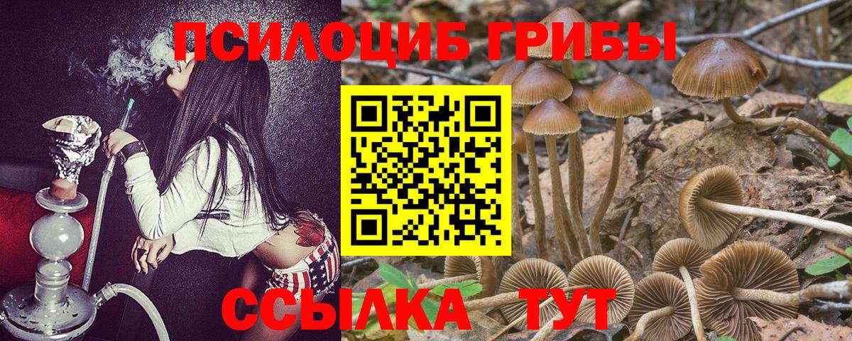 Галлюциногенные грибы Cubensis  Вход с VPN  Усть-Илимск  Галлюциногенные грибы GOLDEN TEACHER 