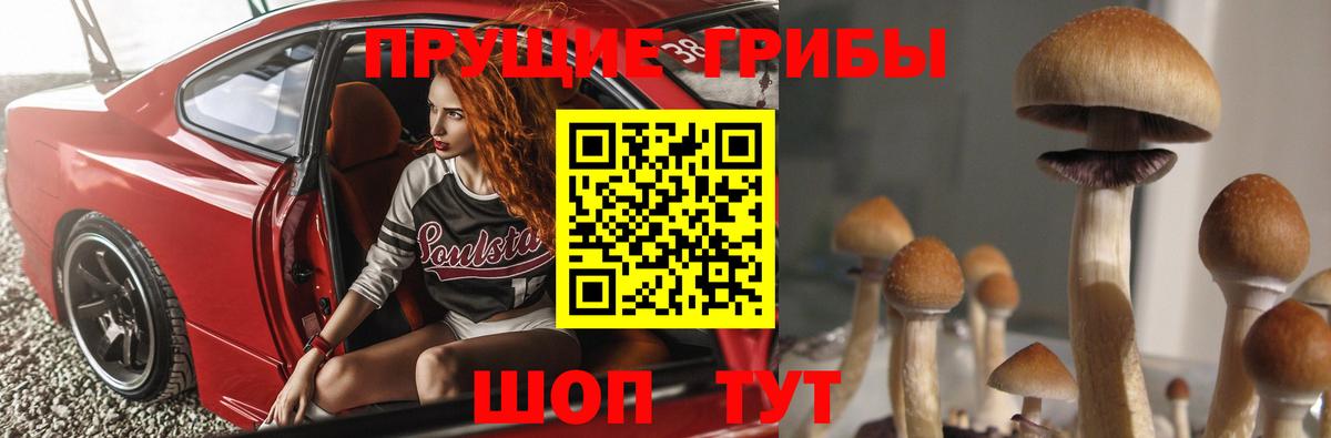 Псилоцибиновые грибы MAGIC MUSHROOMS Усть-Илимск